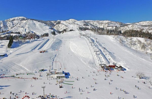 【往復新幹線指定席で行く】上越国際「ジョイハウスアベ」2泊3日【2日リフト入場券+(プラス)付】【夕食・翌朝食付】3